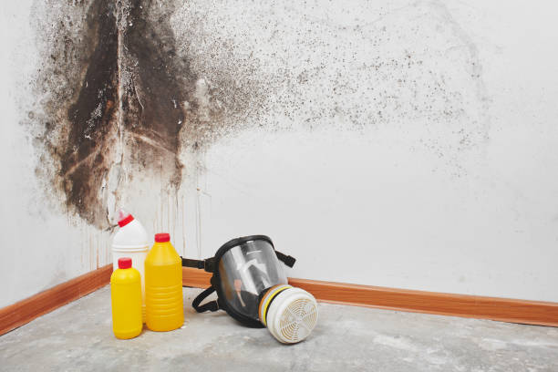 Perry, UT Mold Remediation Company